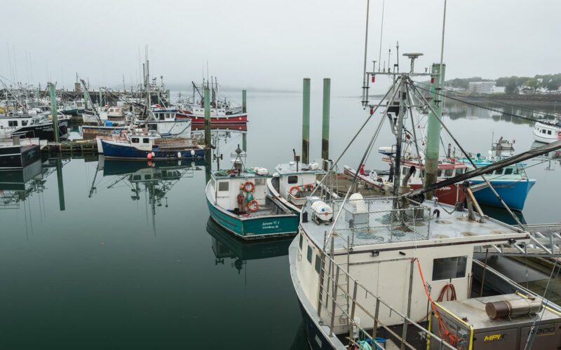 Fishing boats floating in the Bay of Fundy harbour.